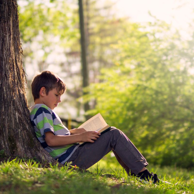 Kids Books | Nature and the outdoors