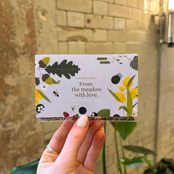 Blooming Native Gift Pockets Custom Branded Wildflower Seed Packets