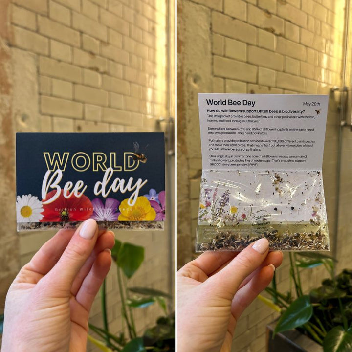 Blooming Native Gift Pockets Custom Branded Wildflower Seed Packets