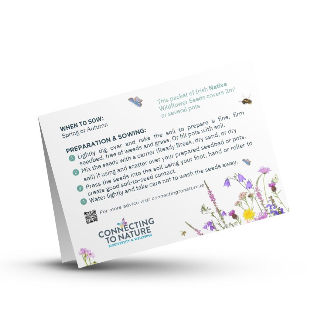 Blooming Native Gift Pockets Custom Designed Wildflower Seed Pockets | Sustainable Corporate Gifting