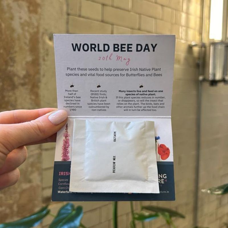 Blooming Native Gift Pockets Native Wildflower Seed Favour | World Bee Day Native Wildflower 'Seed Bomb'
