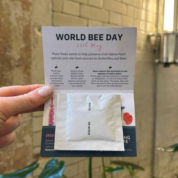 Blooming Native Gift Pockets Native Wildflower Seed Favour | World Bee Day Native Wildflower 'Seed Bomb'