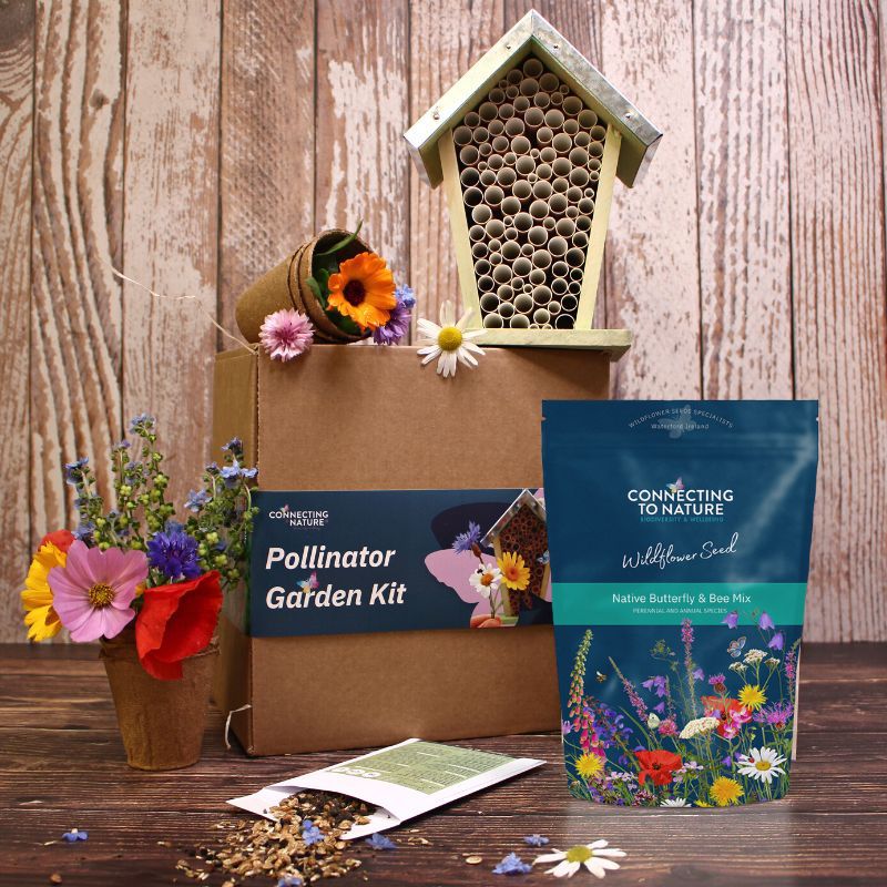 pollinator garden seeds Nature Gift Set | Wildflower Seed & Bee House