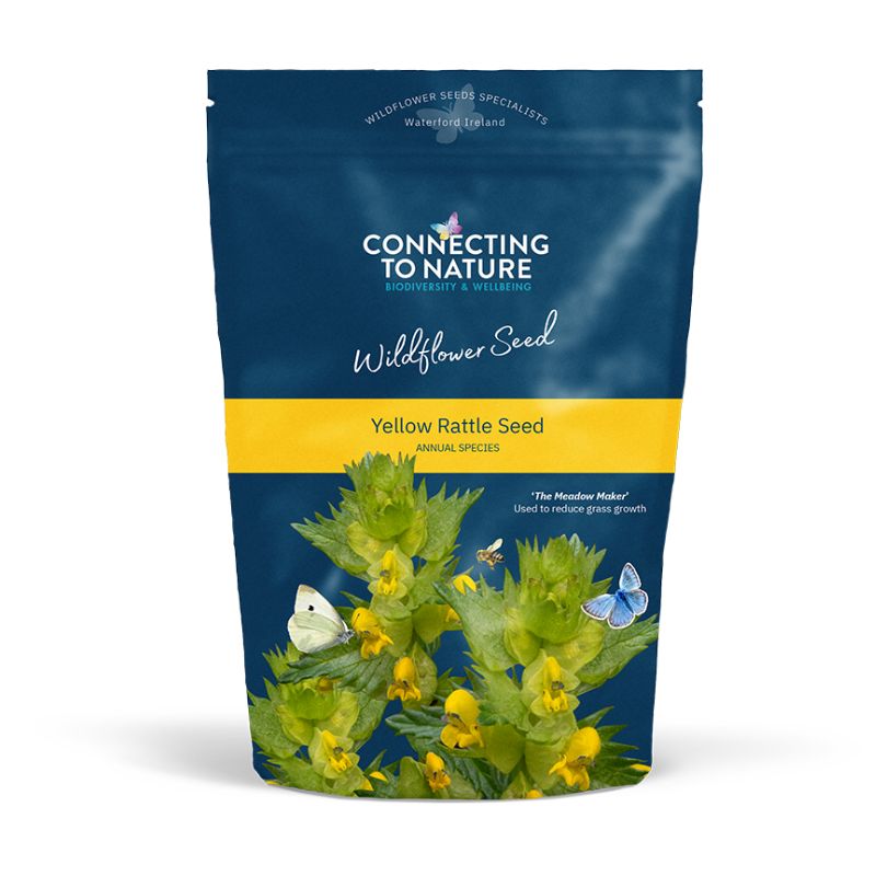 yellow rattle wildflower seeds Native Yellow Rattle Seed | 'The Meadow Maker'