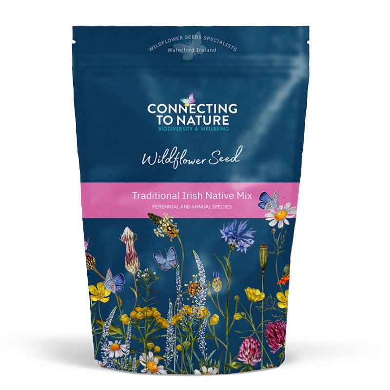 BloomingNative Wildflower Seed Traditional Irish Native Wildflower Mix