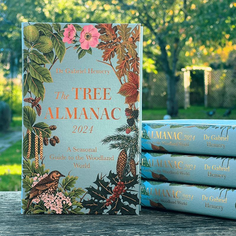 Connecting to Nature Books The Tree Almanac 2024