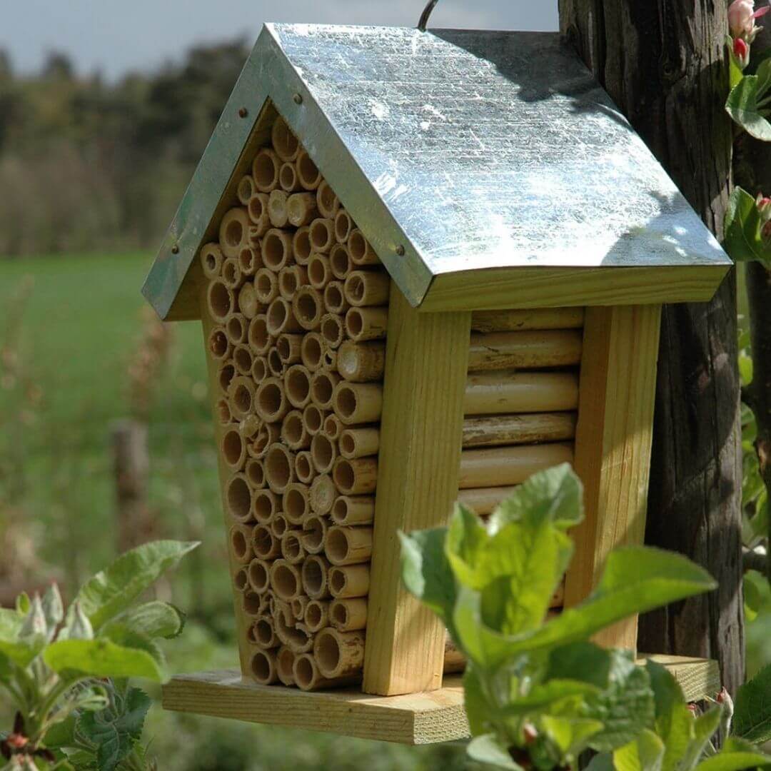 Blooming Native  Accessories Bamboo Bee House