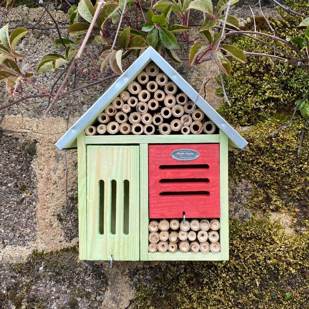 Large Bamboo Bee  Bug Hotel for Garden Pollinators Connecting to Nature