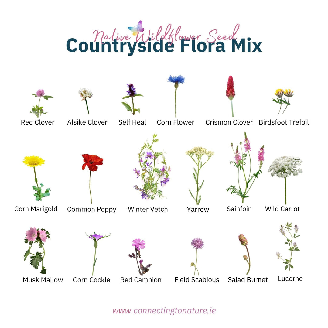 Blooming Native Countryside Flora - Farmland Wildflower Seed Mix