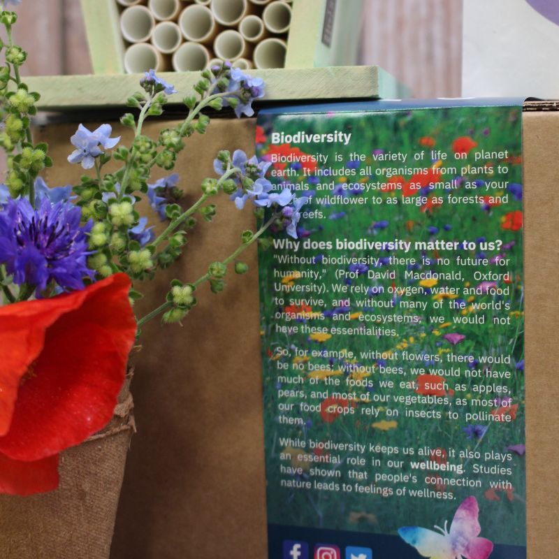 Blooming Native Gift Set Pollinator Garden Gift Set