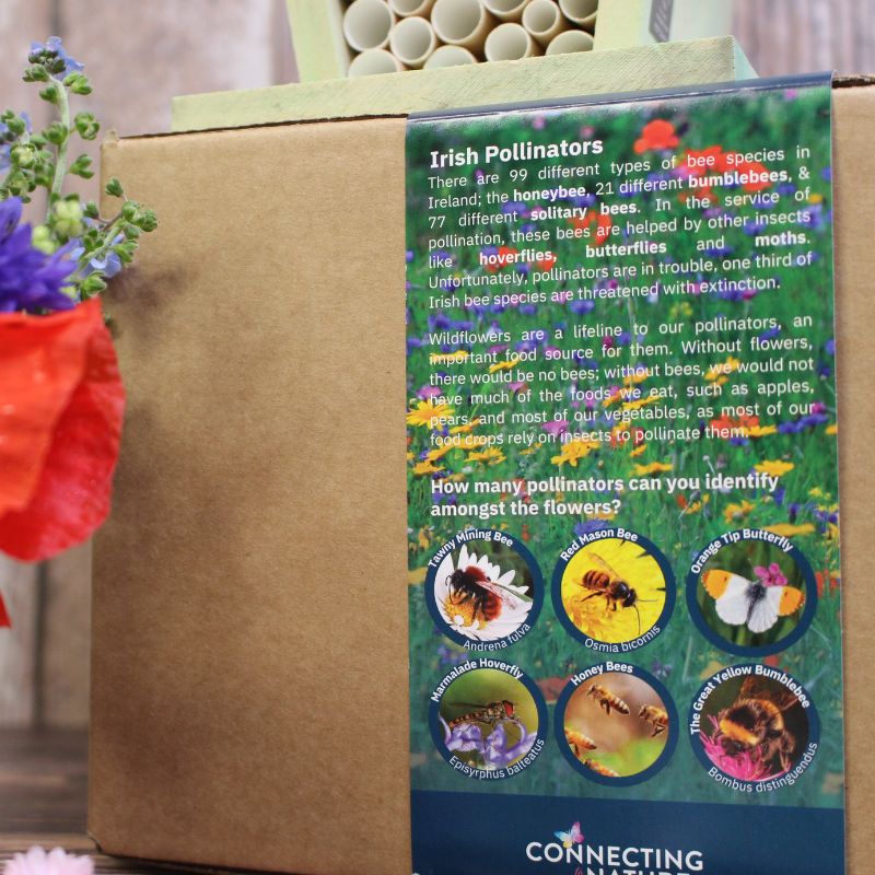 Blooming Native Gift Set Pollinator Garden Gift Set
