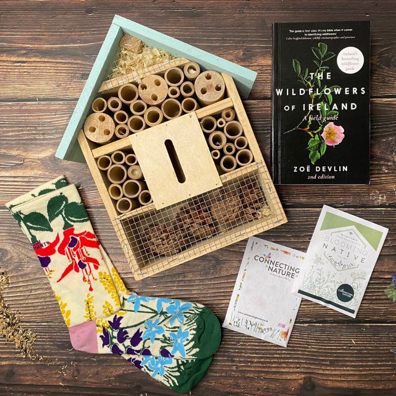 Blooming Native Pollinator & Wellbeing Gift Box | Wildlfower Book, Socks, Wildflower Seed, Pollinator Hotel