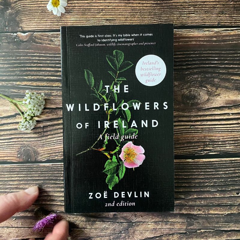 Blooming Native Pollinator & Wellbeing Gift Box | Wildlfower Book, Socks, Wildflower Seed, Pollinator Hotel