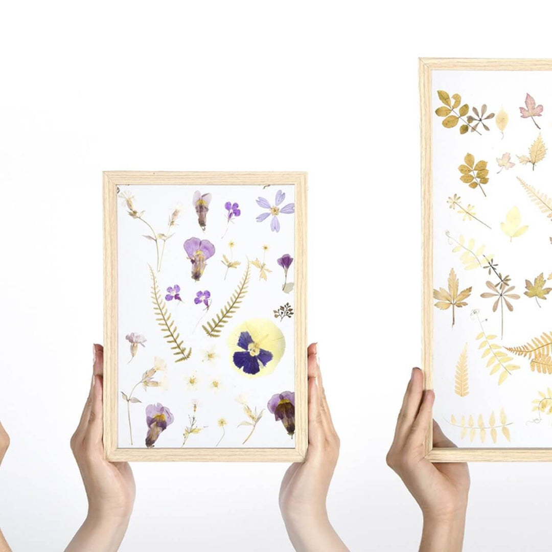 pressed flower art - floating frames