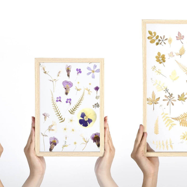 pressed flower art - floating frames