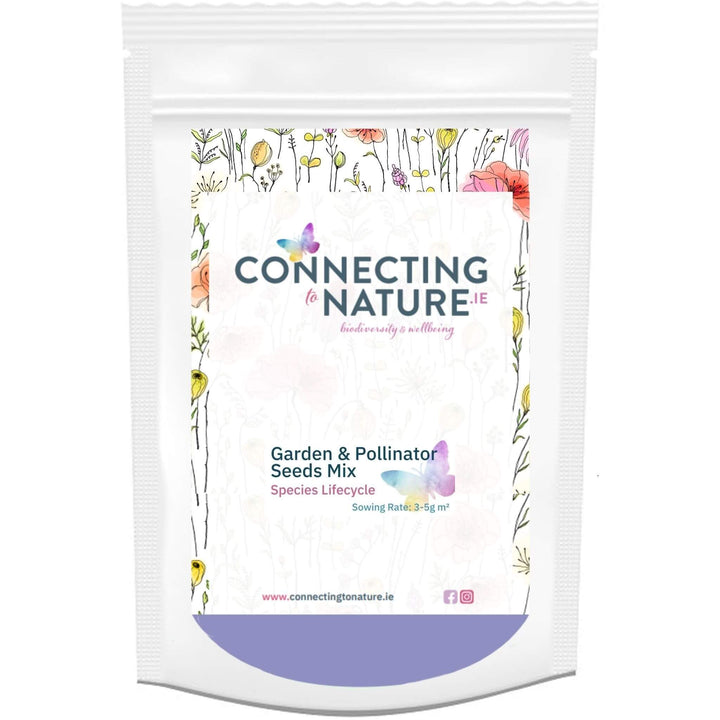 BloomingNative Individual Species Borage Large Bag