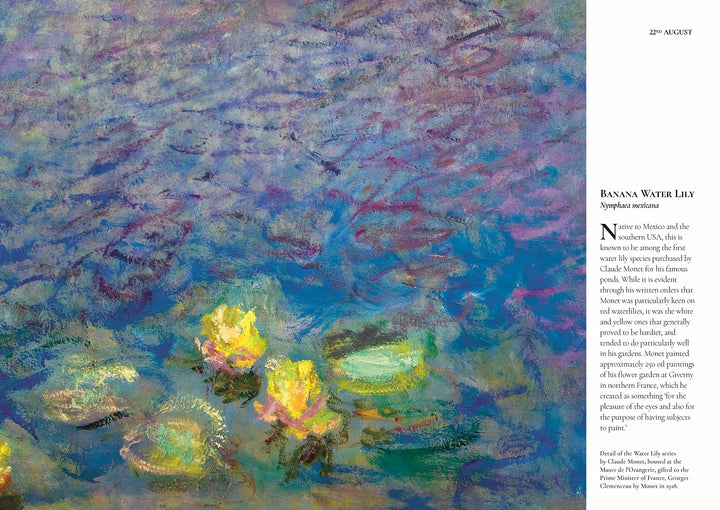 Connecting to Nature A Flower a Day | Miranda Janatka