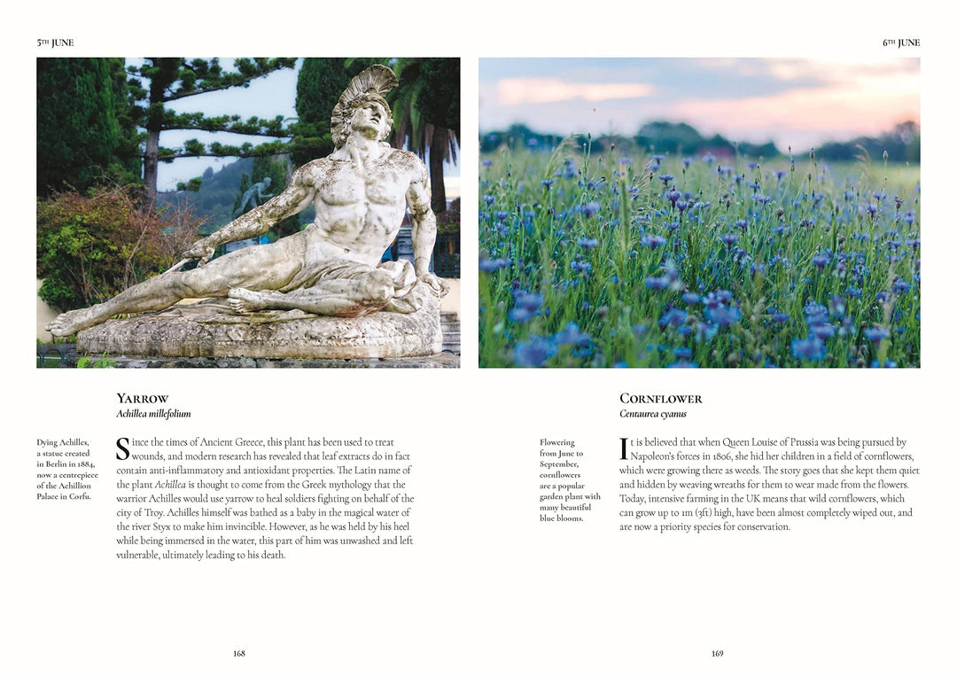 Connecting to Nature A Flower a Day | Miranda Janatka