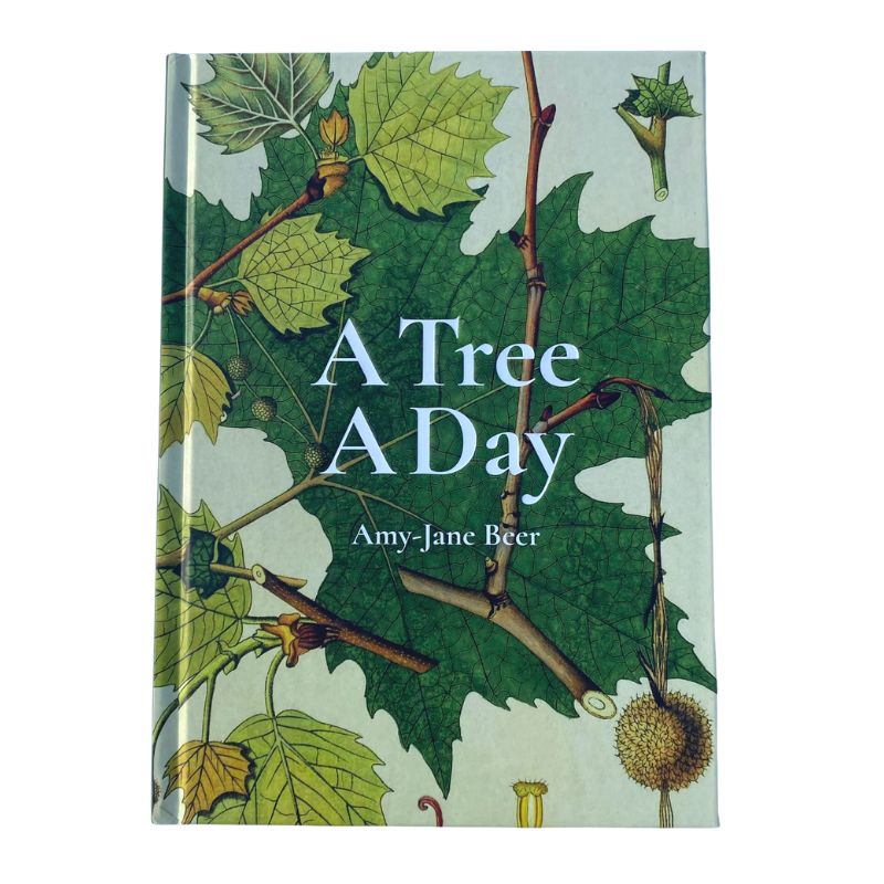 Connecting to Nature book A Tree A Day | Amy-Jane Beer