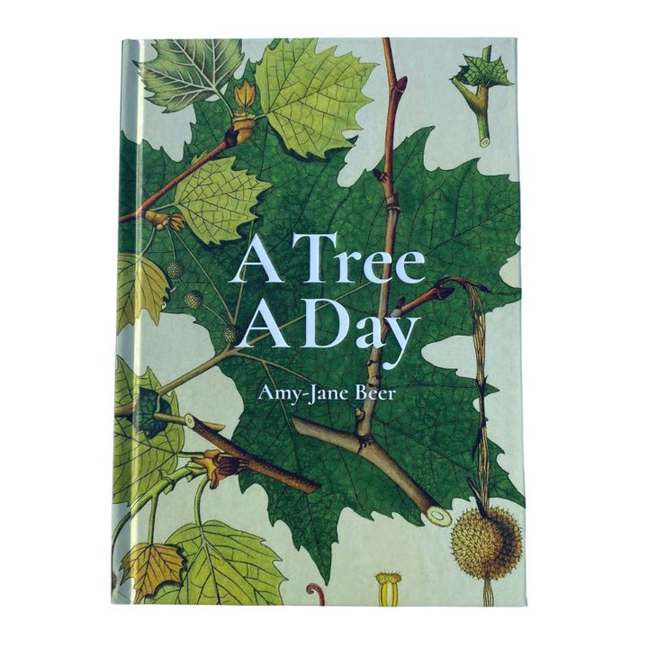 Connecting to Nature book A Tree A Day | Amy-Jane Beer