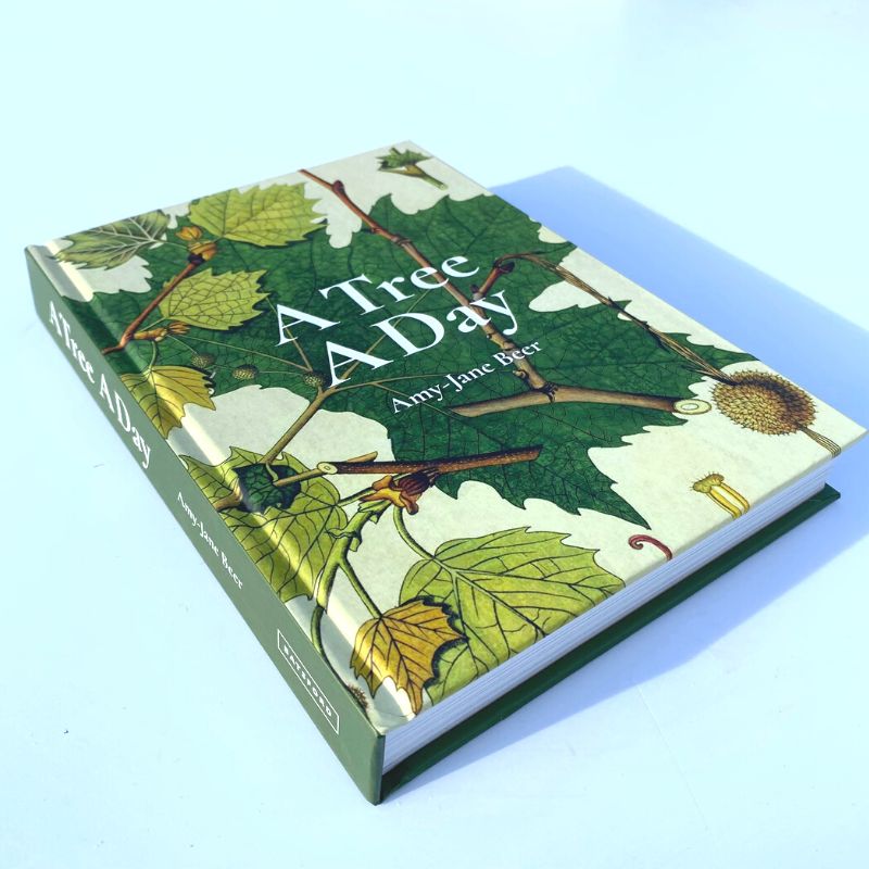 Connecting to Nature book A Tree A Day | Amy-Jane Beer
