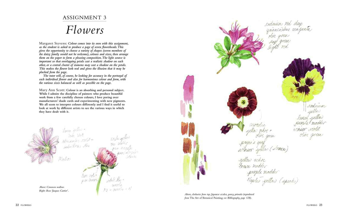 Connecting to Nature Books Botanical Sketchbook | Drawing, painting and illustration for botanical artists