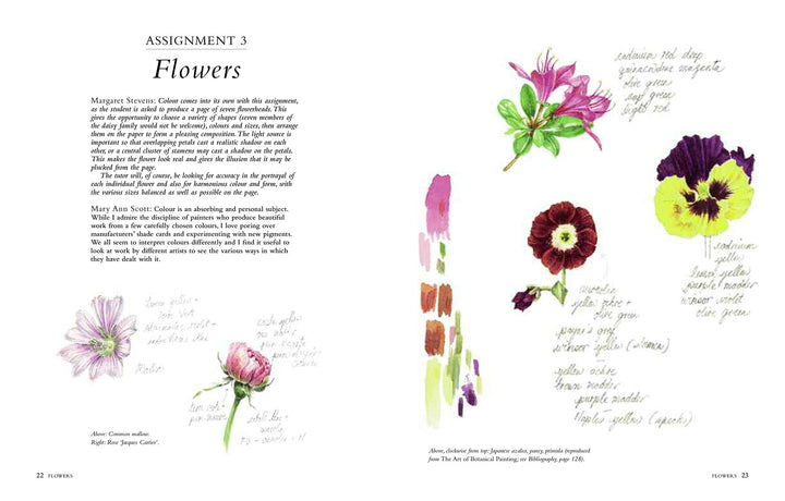 Connecting to Nature Books Botanical Sketchbook | Drawing, painting and illustration for botanical artists