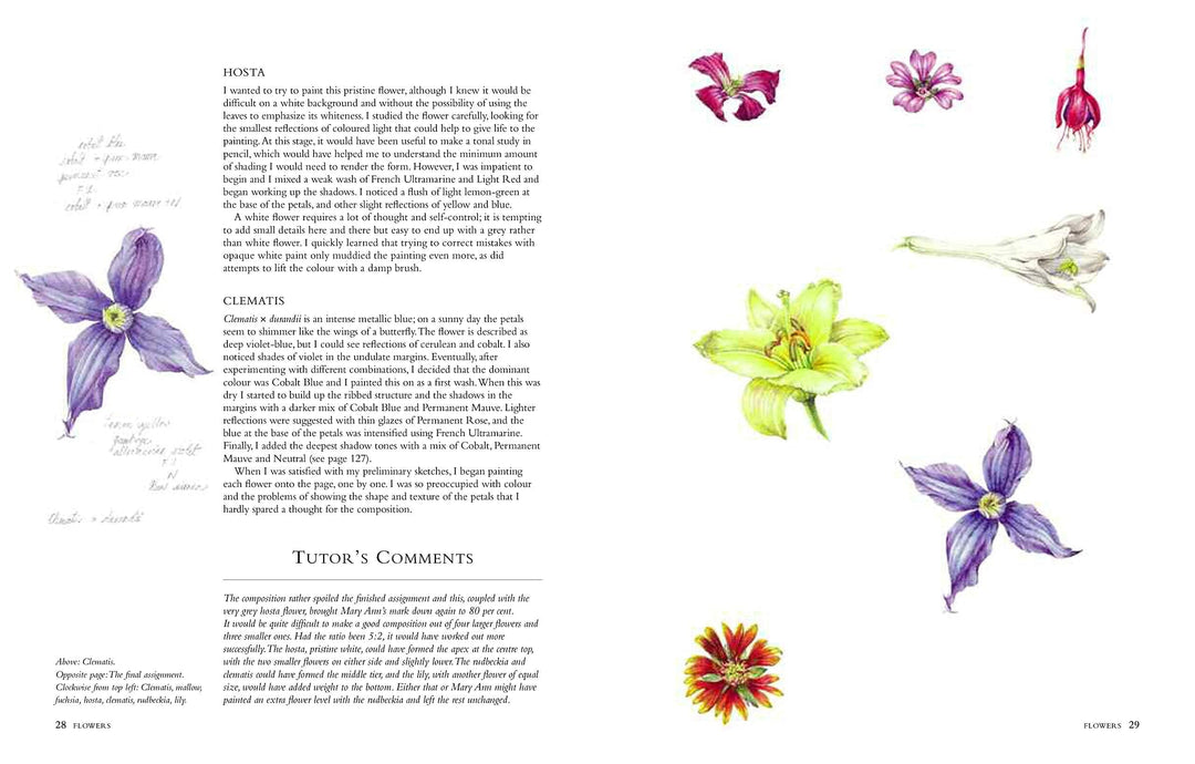 Connecting to Nature Books Botanical Sketchbook | Drawing, painting and illustration for botanical artists