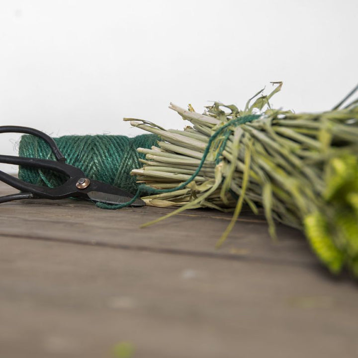 Connecting to Nature Gardening rope and scissors gift set