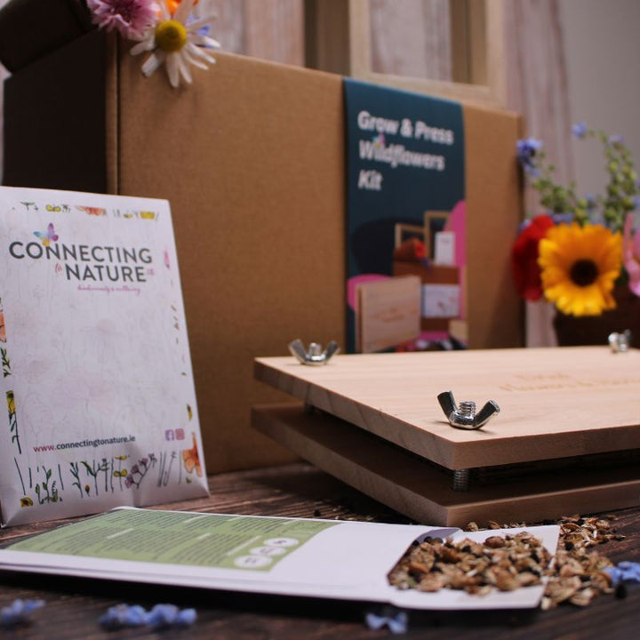 Connecting to Nature Grow and Press Wildflowers Gift Box