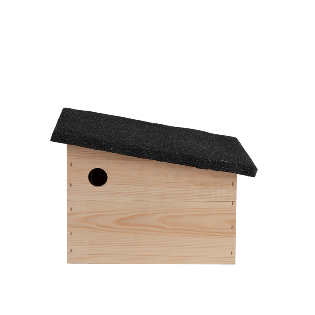 Connecting to Nature Hedgehog House