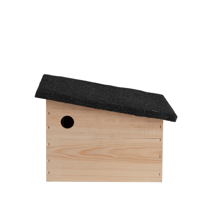 Connecting to Nature Hedgehog House