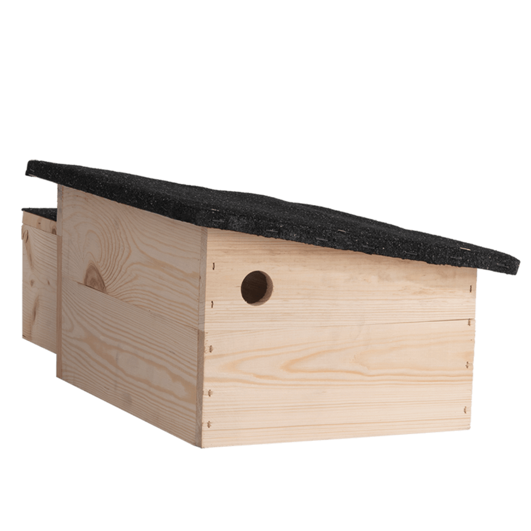 Connecting to Nature Hedgehog House