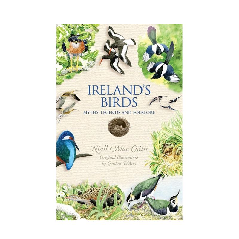 Connecting to Nature Ireland's Birds, MacCoitir | Myths, legends and folklore