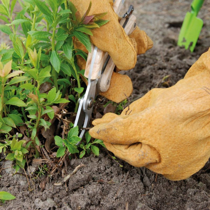 Connecting to Nature Leather gardening gloves