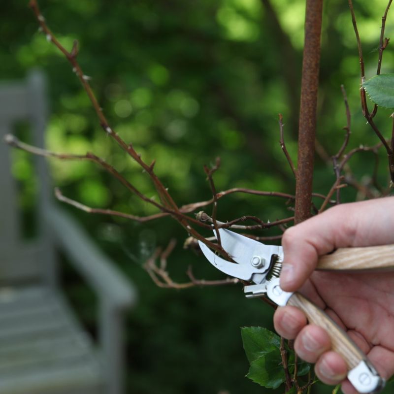 Connecting to Nature Multitool | Stainless Steel