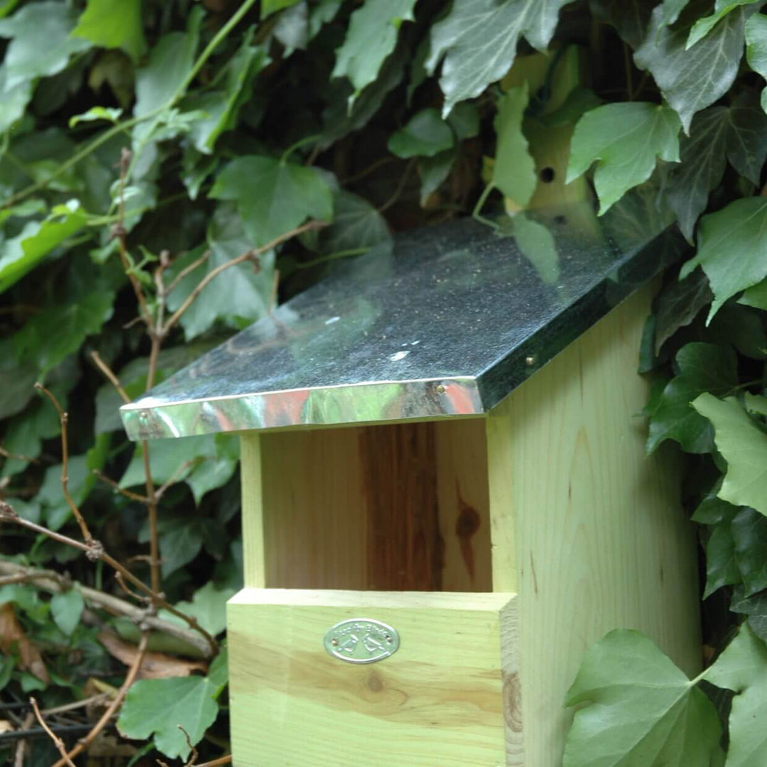 Connecting to Nature Nest Box Flycatcher