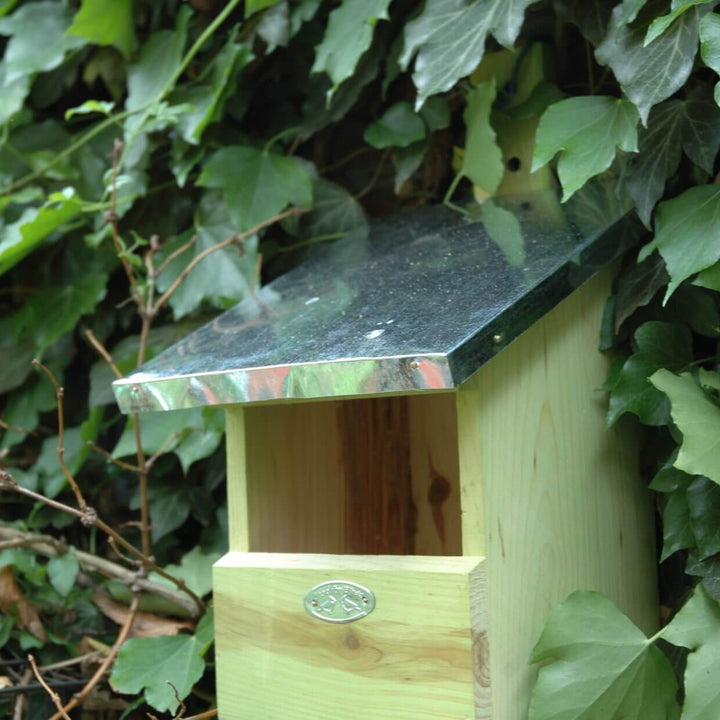 Connecting to Nature Nest Box Flycatcher