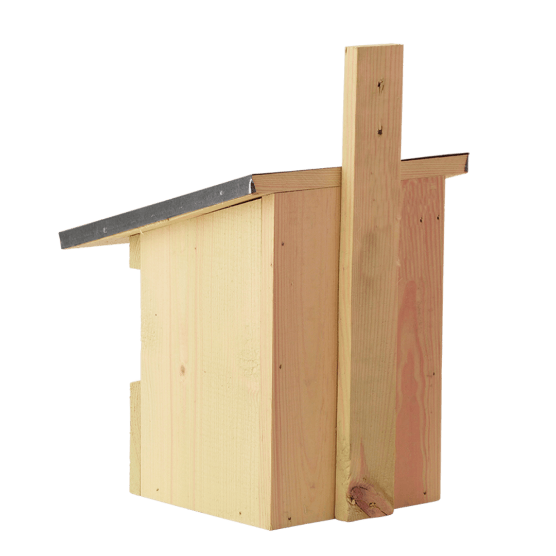 Connecting to Nature Nest Box Flycatcher