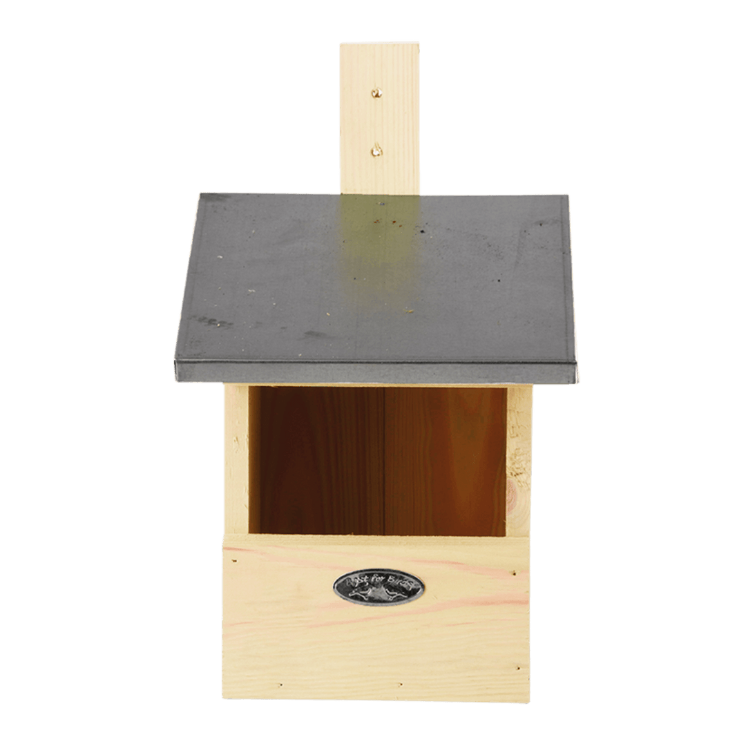 Connecting to Nature Nest Box Flycatcher