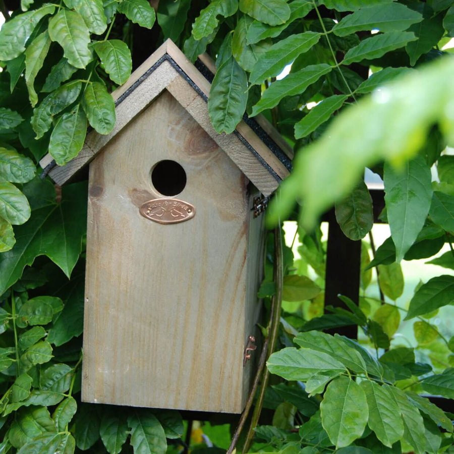 Connecting to Nature Nest Box for Blue Tits | Wooden with Bitumen Roof