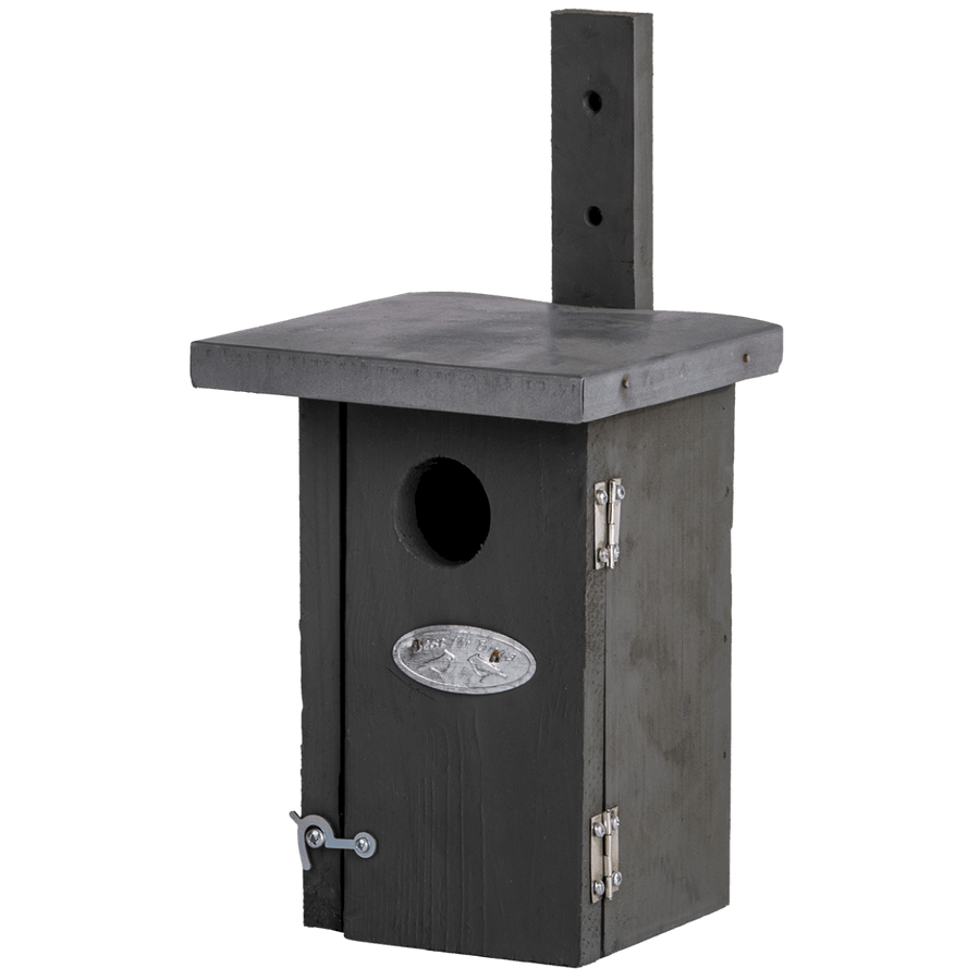 Connecting to Nature Nest Box Wren Grey