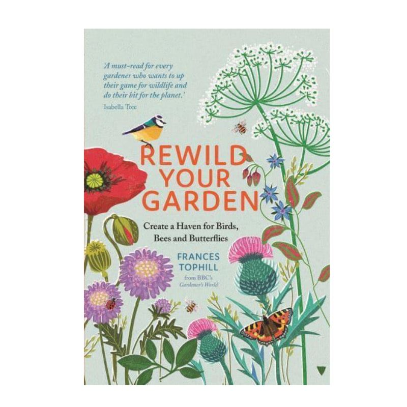 Connecting to Nature Rewild Your Garden | Create a Haven for Birds, Bees and Butterflies
