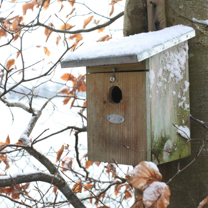 Connecting to Nature Wooden Next box for Great Tits