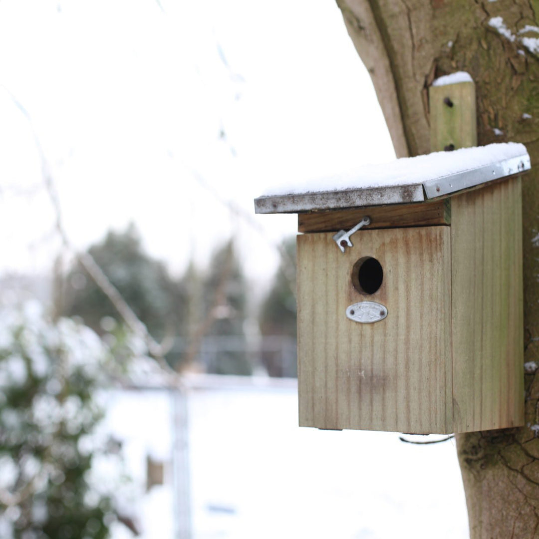 Connecting to Nature Wooden Next box for Great Tits