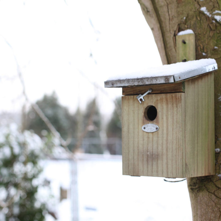 Connecting to Nature Wooden Next box for Great Tits
