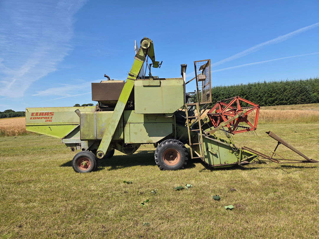 How We Harvest Native Irish Wildflower Seeds