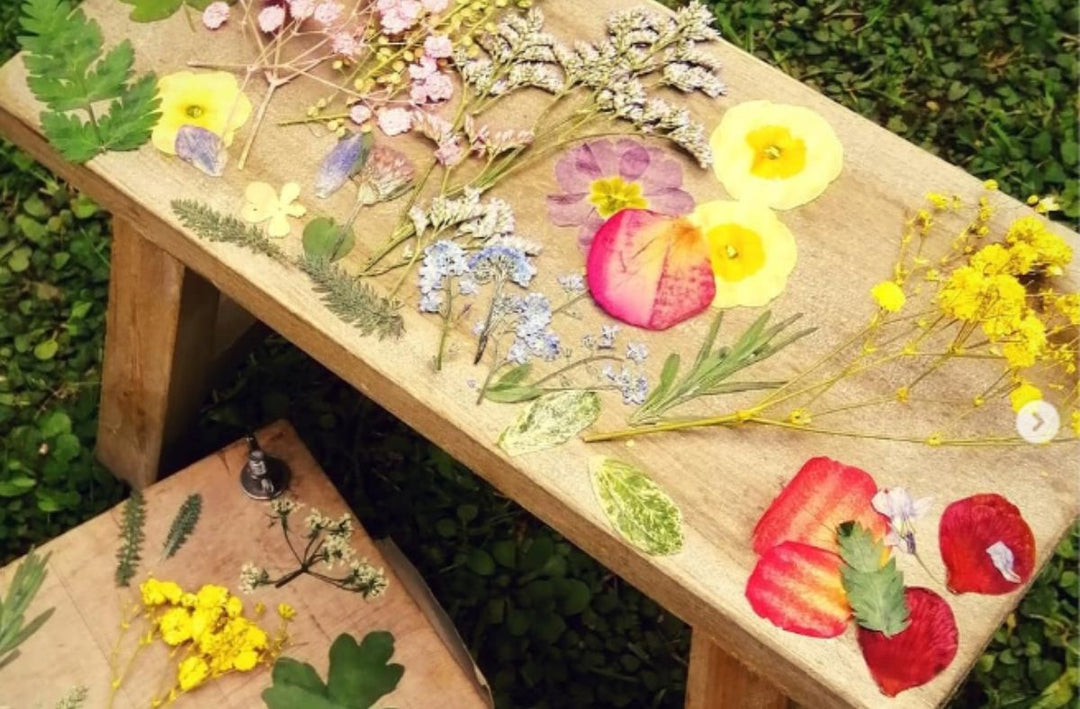 How to press wildflowers using a flower press