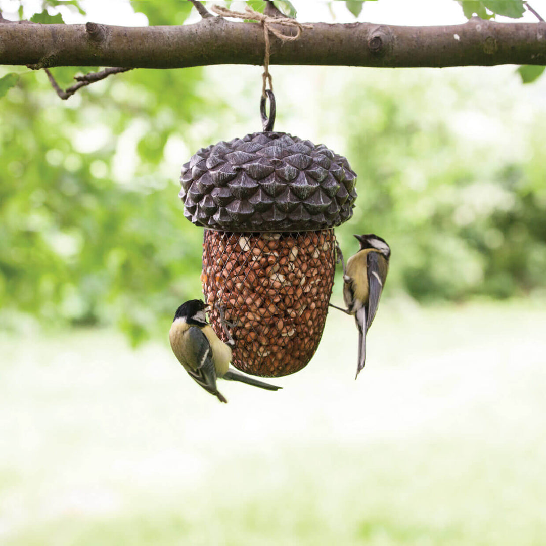 Your October Wild Garden Checklist