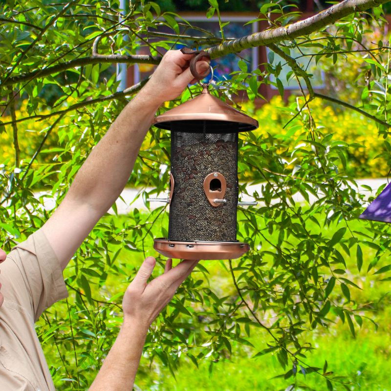 Durable wild bird seed feeder